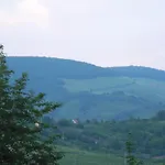 Mandula Apartman *