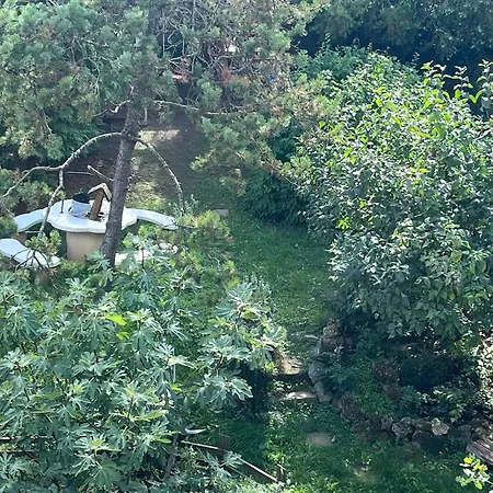 Mandula Vendeghaz Апартаменты