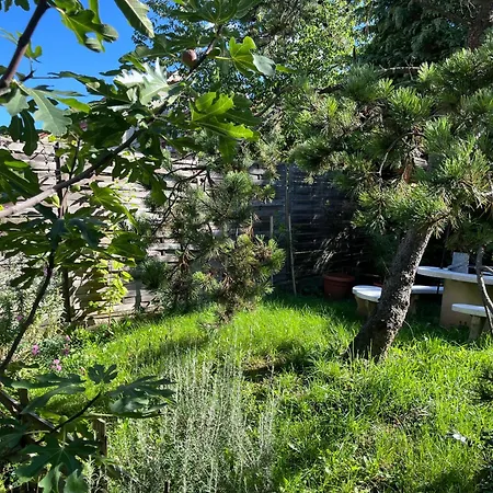 Апартаменты Mandula Vendeghaz *