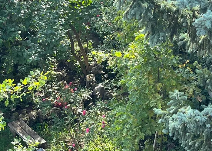 Mandula Vendeghaz Эгер