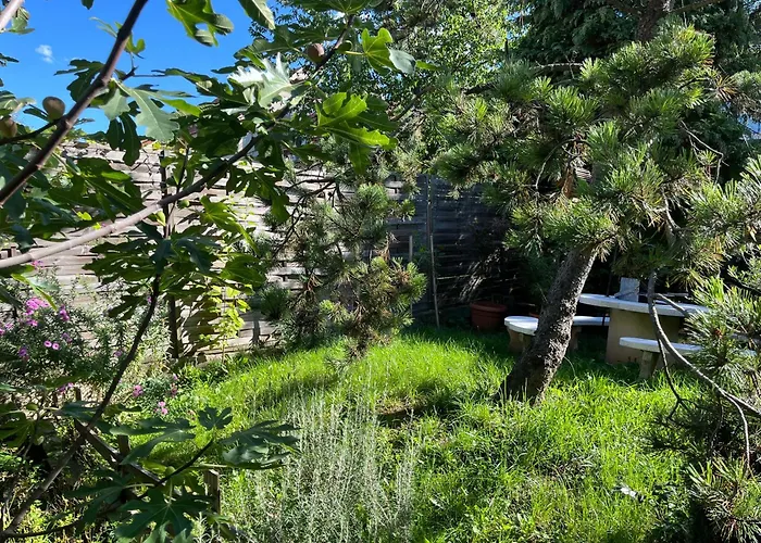 Апартаменты Mandula Vendeghaz *