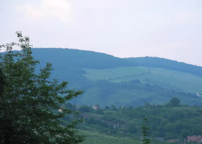 Mandula Vendeghaz Апартаменты *